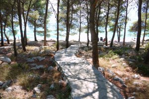 Apartmani Drage