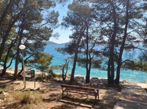 Apartmani Drage