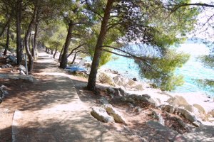 Apartmani Drage