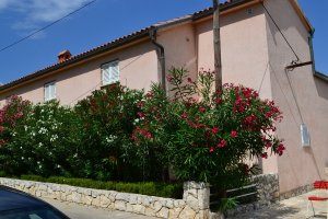 Apartmány Romana