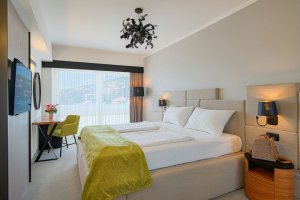Hotel Omorika