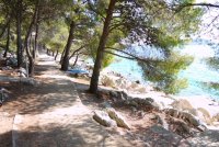 Apartmani Drage