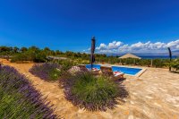 Magical Island Home