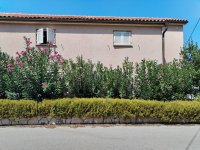 Apartmány Romana