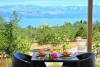 Olive Garden Home